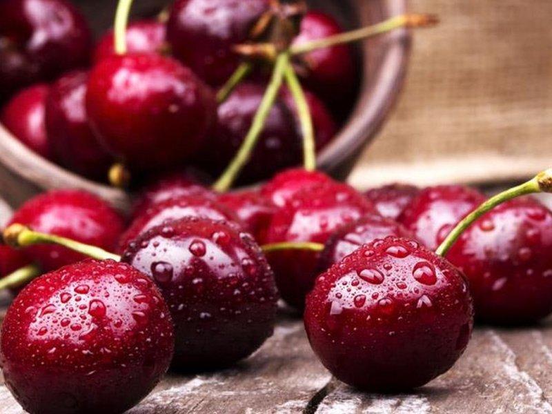 Вишня купить саженцы из питомника в Комсомольске-на-Амуре